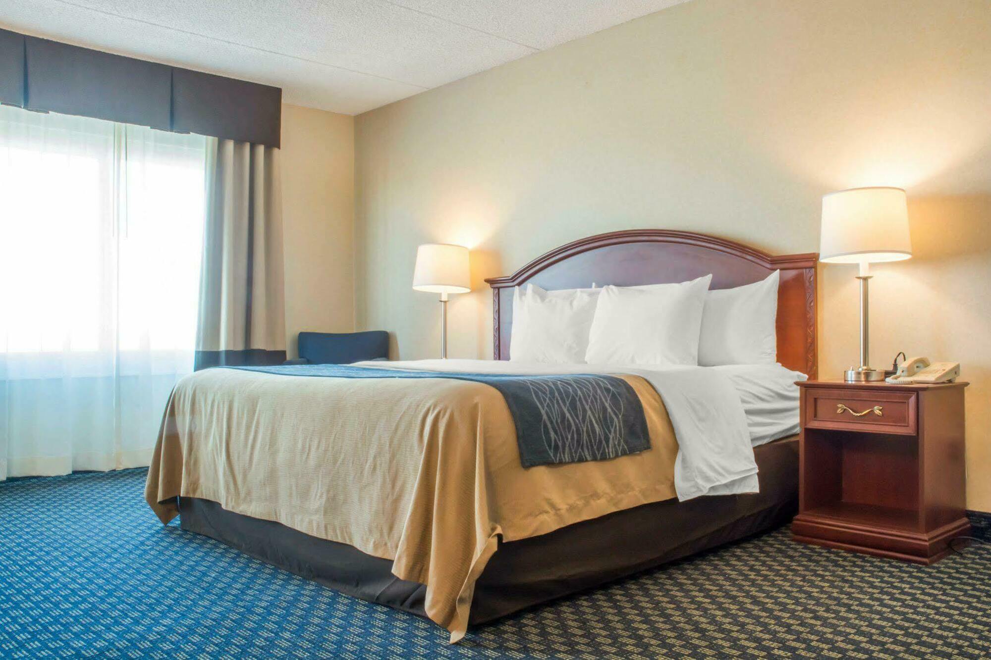 Hammock Hotel Rochester Niagara Falls Eksteriør bilde